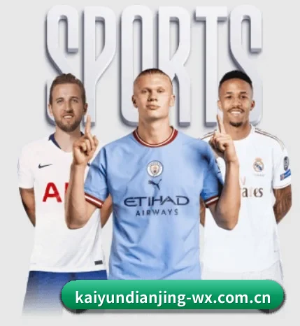 五大服务分区,信息按项目分类 - 多运动项目内容板块（Kaiyun Esport）